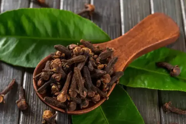 organic Clove Essential Oil skincare organic Clove Essential Oil